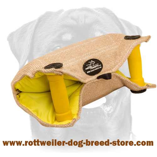 Rottweiler Bite Developer for Safe and Effective Training