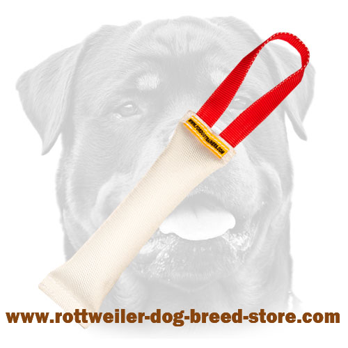 Rottweiler Training Fire Hose Bite Tug With Handle
