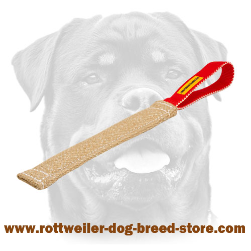 https://www.rottweiler-dog-breed-store.com/images/large/Rottweiler-puppy-bite-tug-jute-pocket-toy-TE23_LRG.jpg