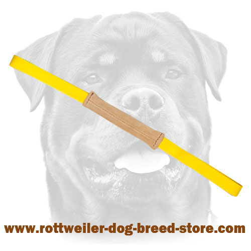 Leather Dog Tug Toy with 2 Handles for Rottweiler