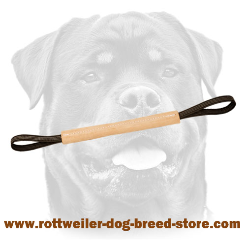 Leather Bite Tug with 2 Convenient Handles