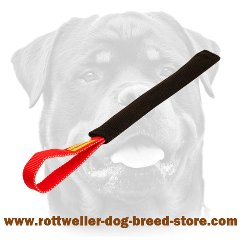 French Linen Puppy Bite Tug 1 3/4 inch x 12 inch with Handle