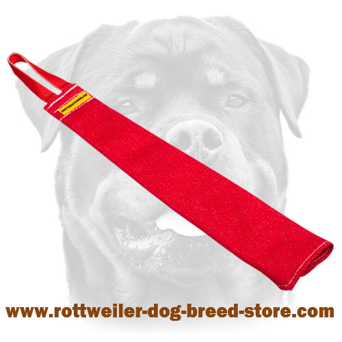 French Linen Dog Bite Rag