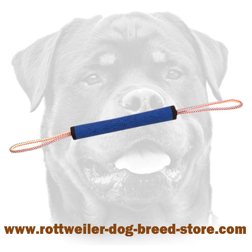 Rottweiler Training Round Bite Tug