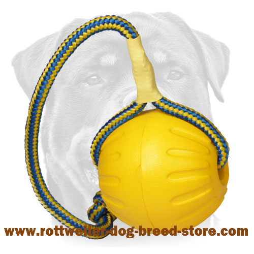 string muzzle for dogs