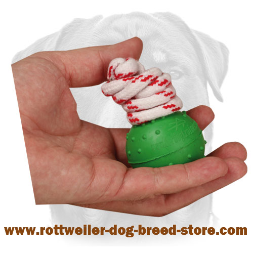 Dotted Rubber Dog Ball for Water Training and Playing - 2 inch (5 cm)