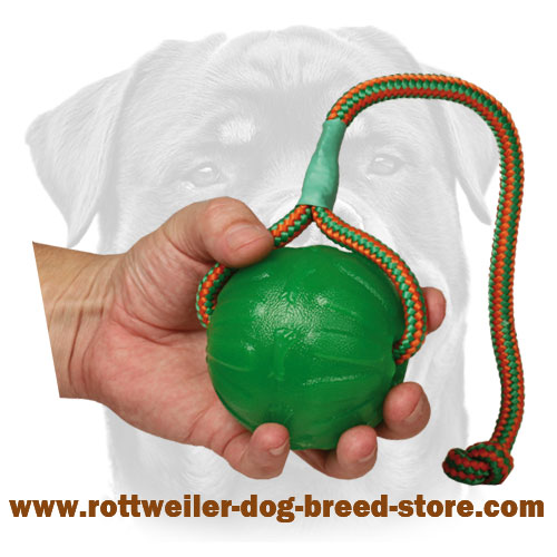 dog ball on string
