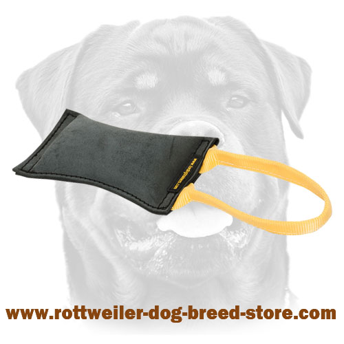 Excellent Drive and Retrieve Building Tug