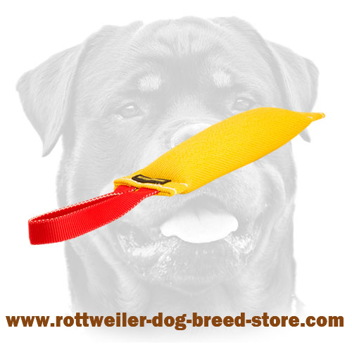 Rottweiler Dog Bite Tag Made of French Linen