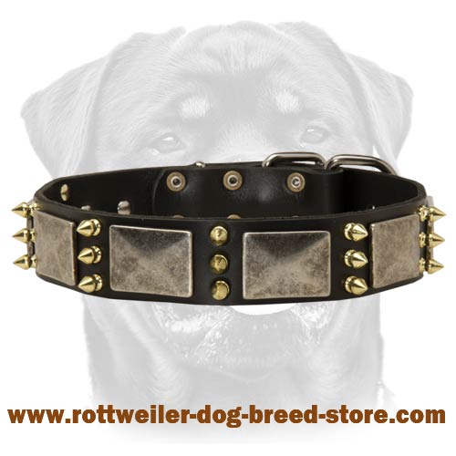 Best Spiked Leather Dog Collar-Massive Look Rusted Nickel Plated Plates
