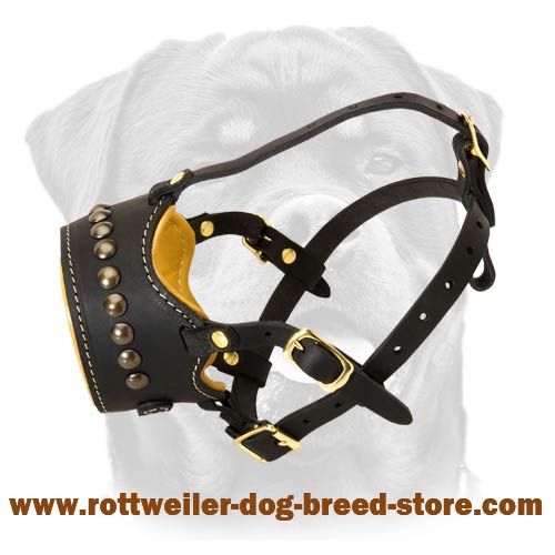 Fashion Studded Rottweiler Muzzle