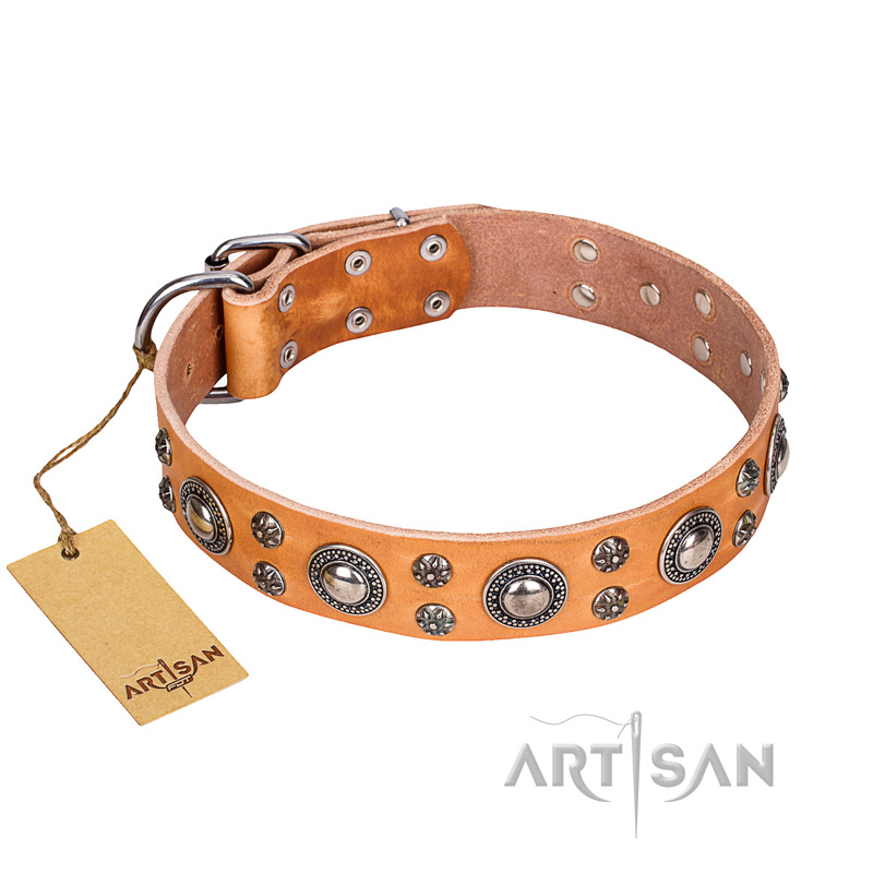 'Extra Sparkle' FDT Artisan Handcrafted Rottweiler Tan Leather Dog Collar