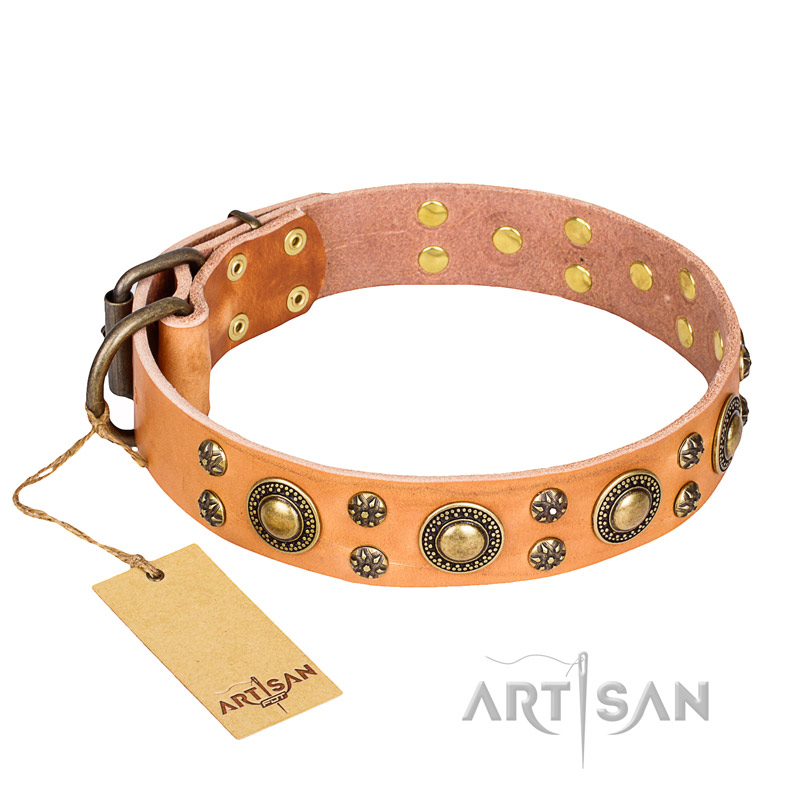 'Sophisticated Glamor' FDT Artisan Rottweiler Tan Leather Dog Collar with Stylish Old-Bronze Plated Decorations