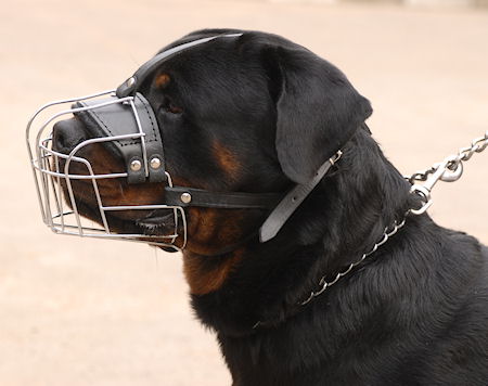 Wire Basket Dog Muzzle for Rottweiler