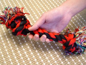 2-Knot Fiber Bone 10 inches (25 cm). Helps Keep Teeth Clean And Tartar Free!