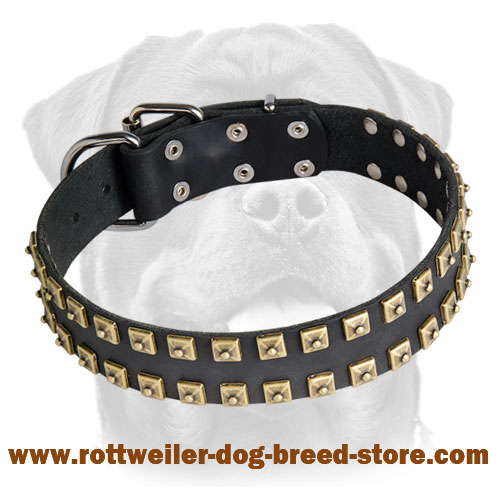 New Leather Rottweiler Collar with 2 Rows of Brass Studs - "Caterpillar"