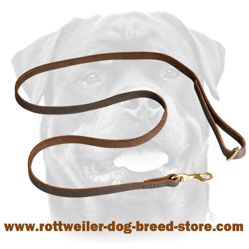 Leather Dog Leash Stitched with Wax Coated Threads