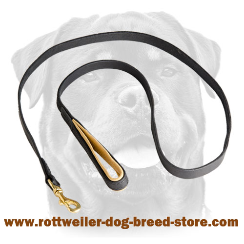 Leather Dog Leash with Support Material on the Handle