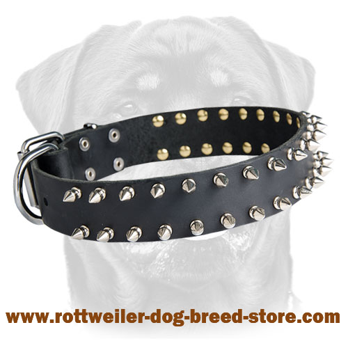 Leather Spiked Dog Collar for Rottweiler