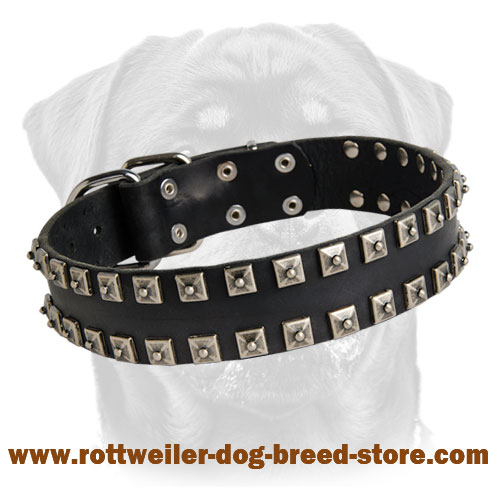 New Leather Dog Collar - Fashionable Exclusive Design - "Caterpillar"