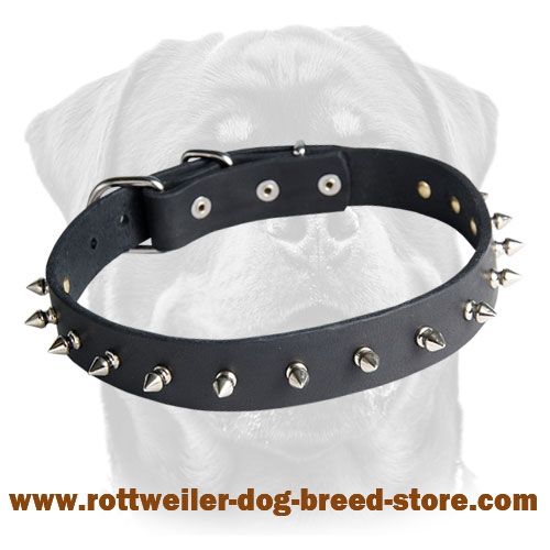 Leather Spiked Dog Collar for Rottweiler