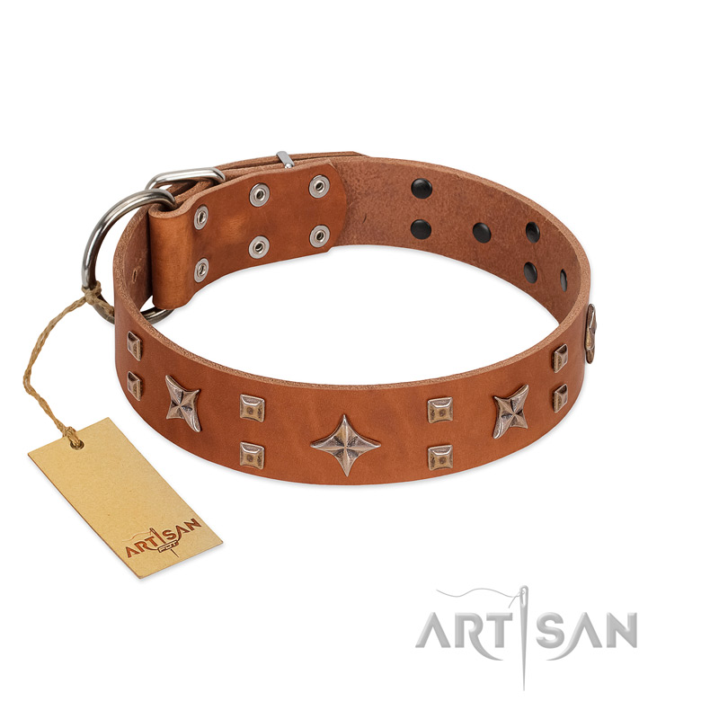 "Dreamy Gleam" FDT Artisan Tan Leather Rottweiler Collar Adorned with Stars and Squares