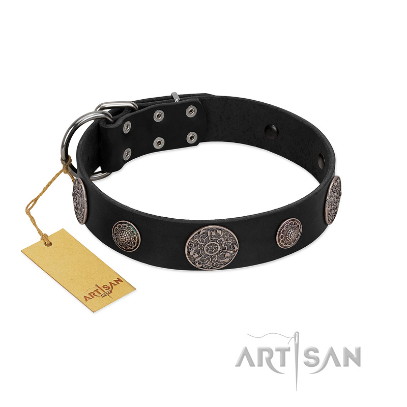 "Ad Infinitum" Durable FDT Artisan Black Leather Rottweiler Collar with Chrome Plated Brooches