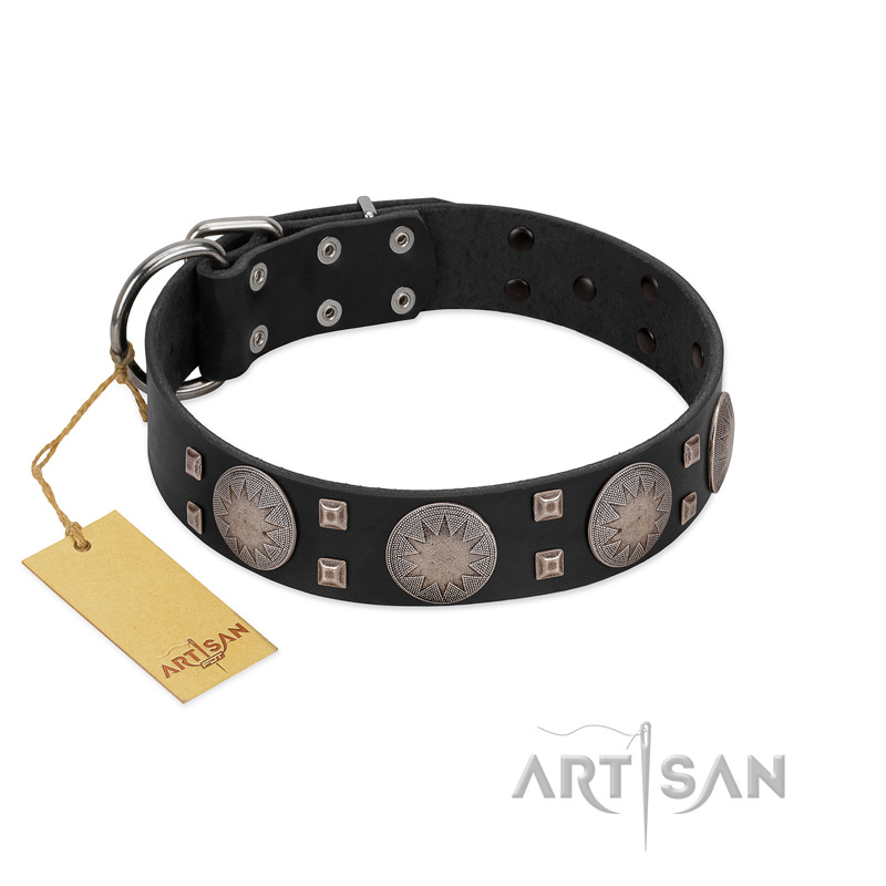 "Sun in Shining" Modern FDT Artisan Black Leather Rottweiler Collar with Studs and Stars