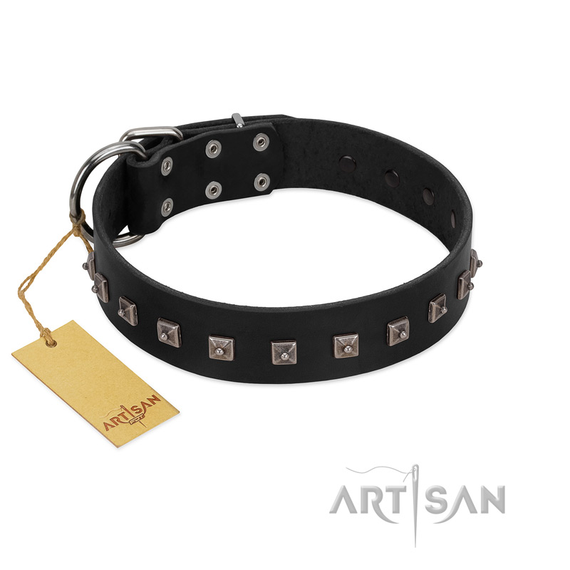 "Natural Beauty" Premium Quality FDT Artisan Black Designer Rottweiler Collar with Dotted Studs