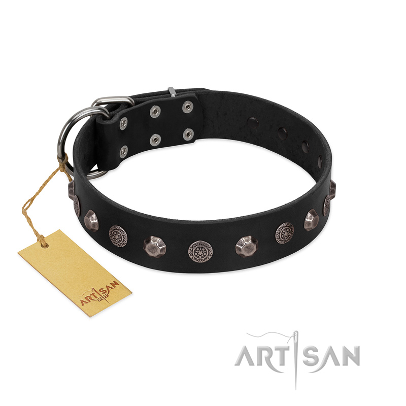 "Black Knight" Handmade FDT Artisan Black Leather Rottweiler Collar with Silver-Like Studs