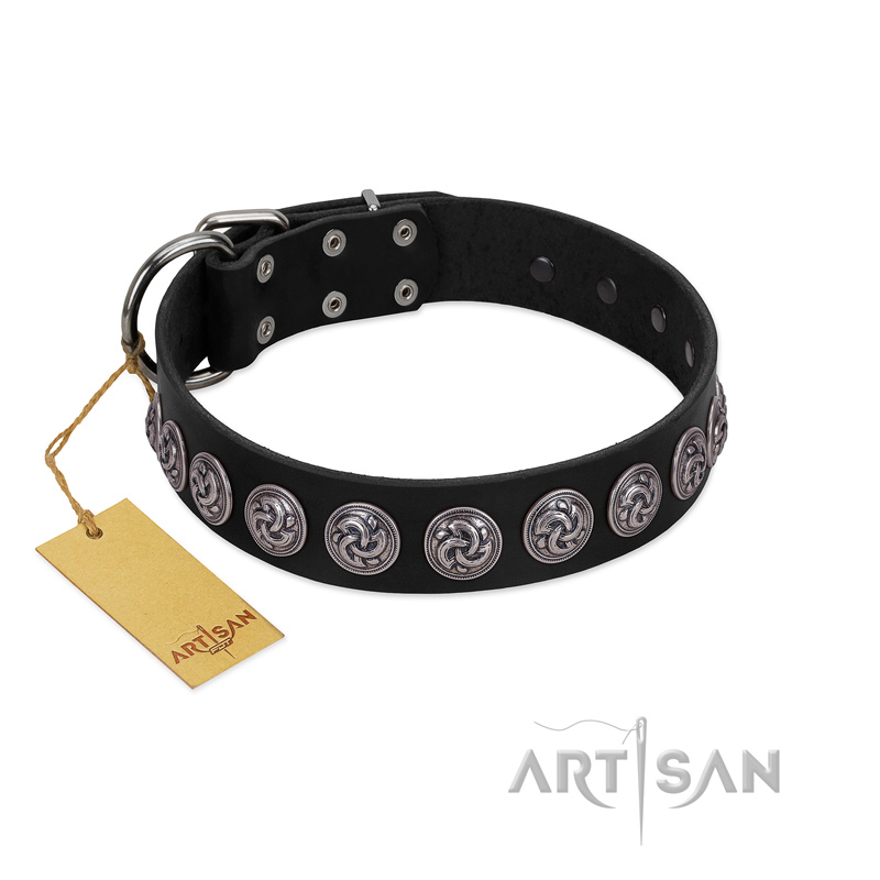 "Black Raven" Handmade FDT Artisan Black Leather Rottweiler Collar with Silver-Like Adornments