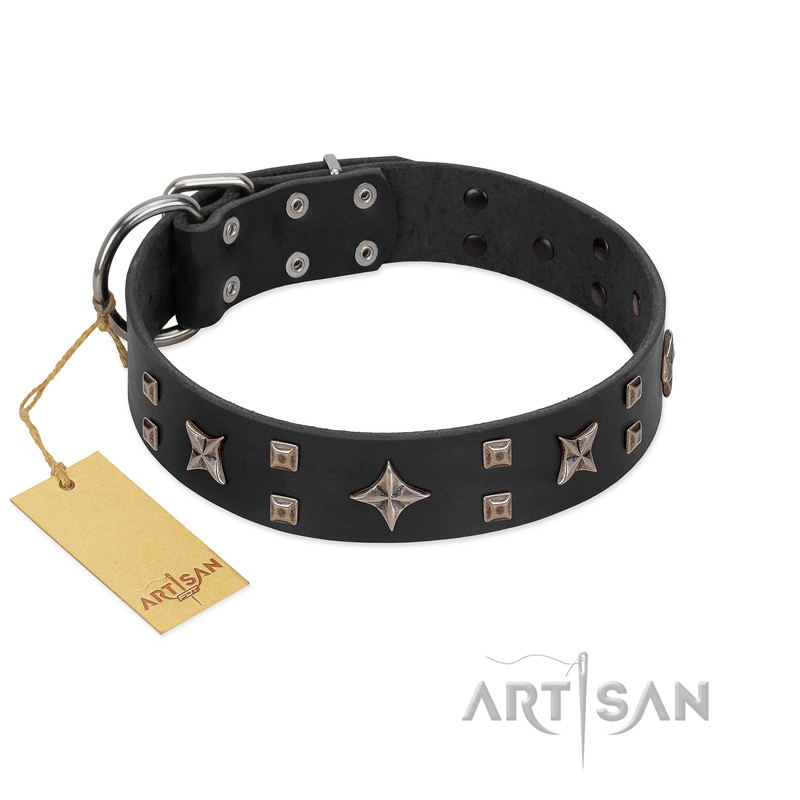"Star Excitement" Modern FDT Artisan Black Leather Rottweiler Collar with Studs and Stars