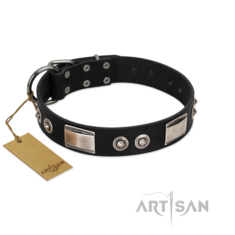 "Grand Wear" FDT Artisan Black Leather Rottweiler Collar with Shining Plates and Spiked Studs