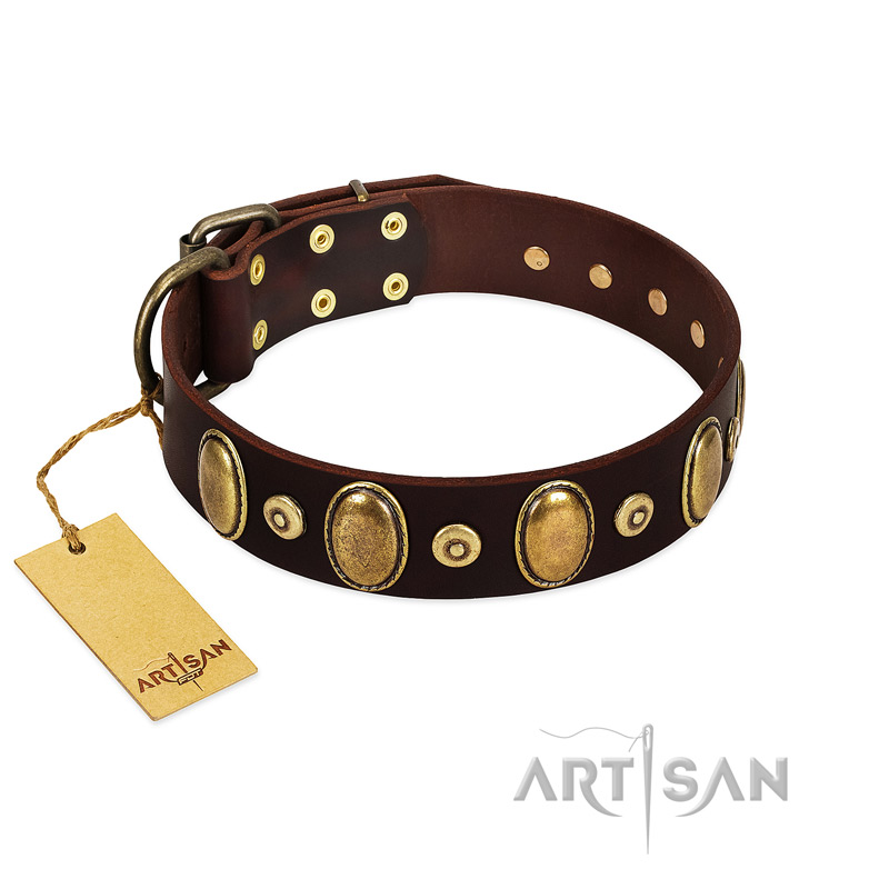 "Retro Pusle" FDT Artisan Brown Leather Rottweiler Collar with Old Bronze-like Studs and Oval Brooches