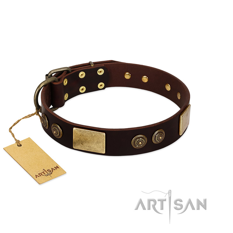 "Bow-Wow Effect" FDT Artisan Brown Leather Rottweiler Collar with Plates and Ornate Studs