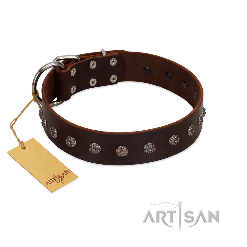 "Graceful Classic" Mod FDT Artisan Brown Leather Rottweiler Collar