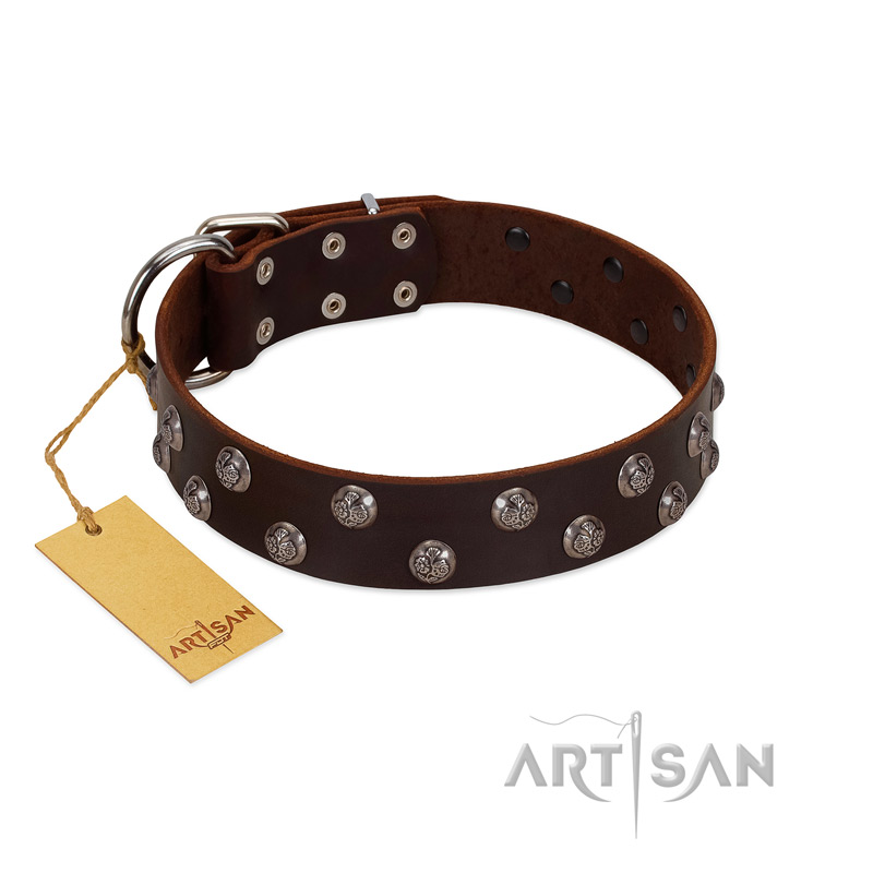 "Blossom Jewel" FDT Artisan Brown Leather Rottweiler Collar with Two Rows of Silver-like Studs with Engraved Flowers