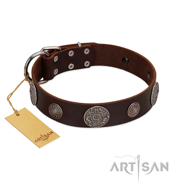 "Flashy Woof" FDT Artisan Brown Leather Rottweiler Collar with Chrome Plated Brooches
