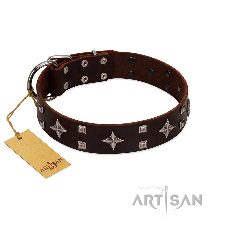 "Trendy Candy" FDT Artisan Brown Leather Rottweiler Collar Adorned with Stars and Tiny Squares