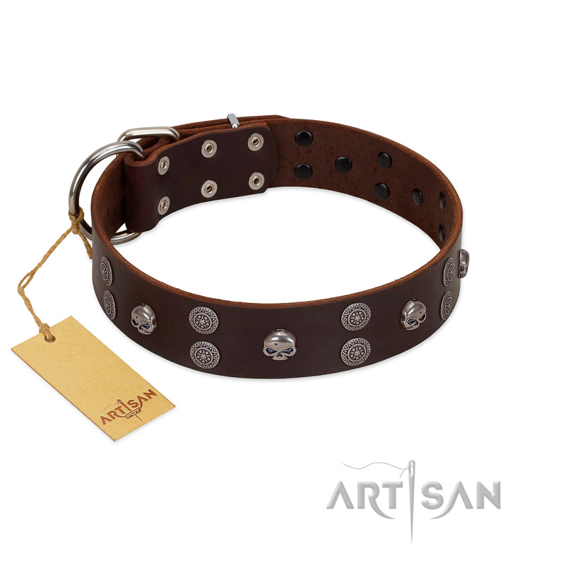 "Skull Valley" Handcrafted FDT Artisan Brown Leather Rottweiler Collar with Skulls
