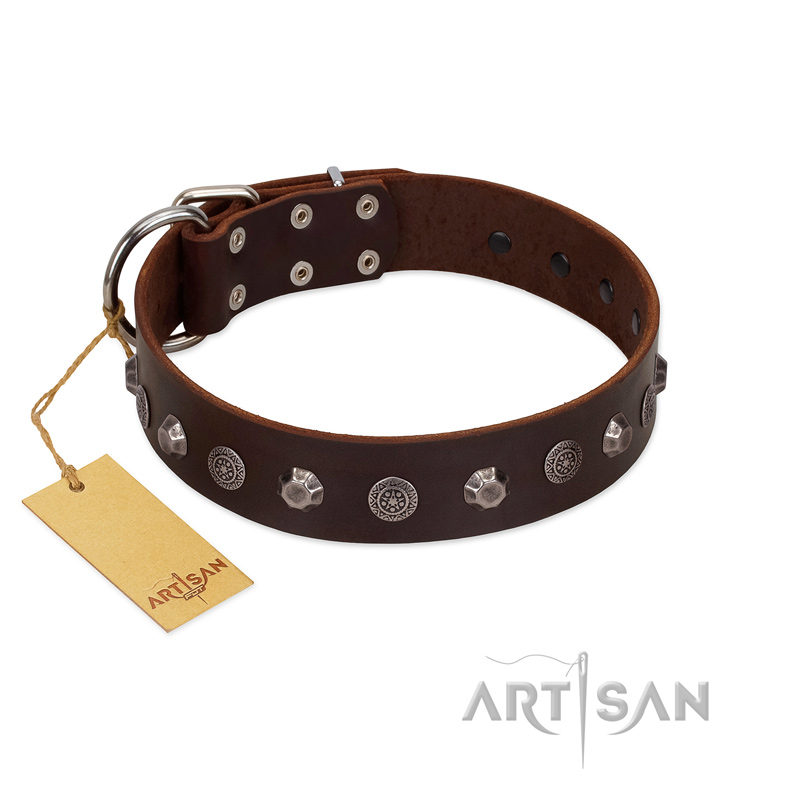 "Dark Chocolate" Handmade FDT Artisan Brown Leather Rottweiler Collar with Studs