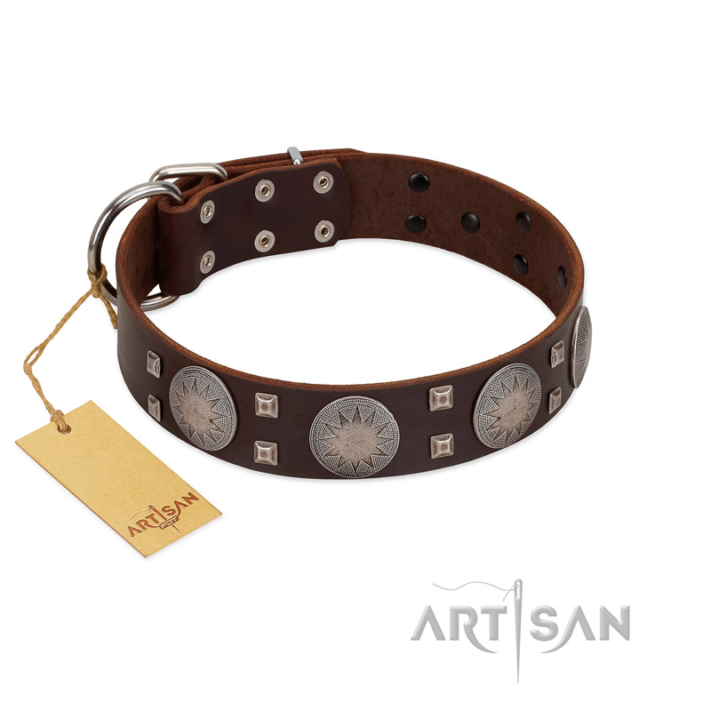 "Sun in Barchans" Modern FDT Artisan Brown Leather Rottweiler Collar with Engraved Stars on Round Plates and Studs