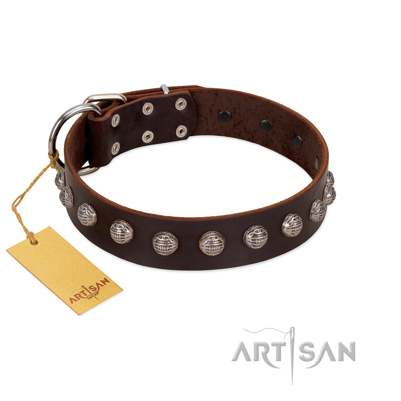 "Lucky Silver" Designer Handmade FDT Artisan Brown Leather Rottweiler Collar