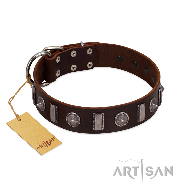 "Spiky Way" FDT Artisan Brown Leather Rottweiler Collar with Silver-Like Decorations