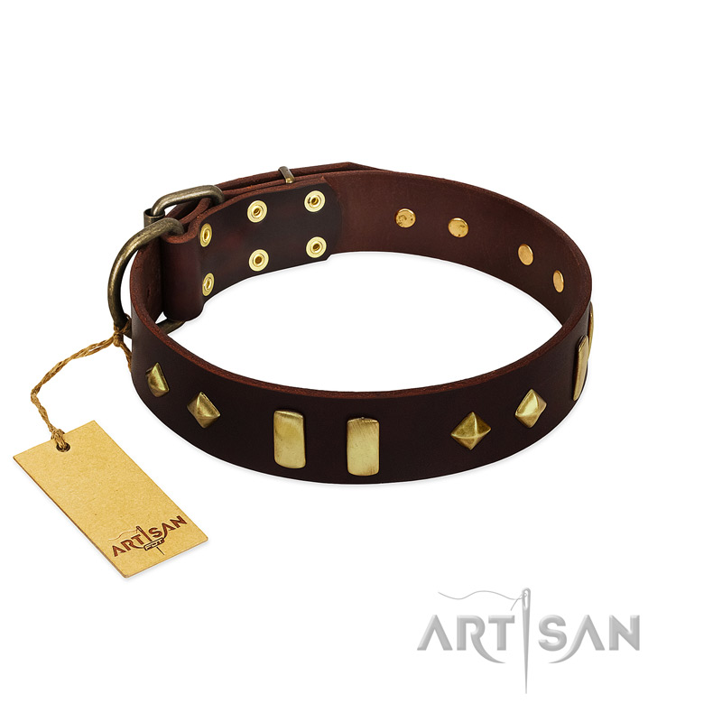 "Blinking Illusion" FDT Artisan Brown Leather Rottweiler Collar with Old Bronze-like Studs and Plates