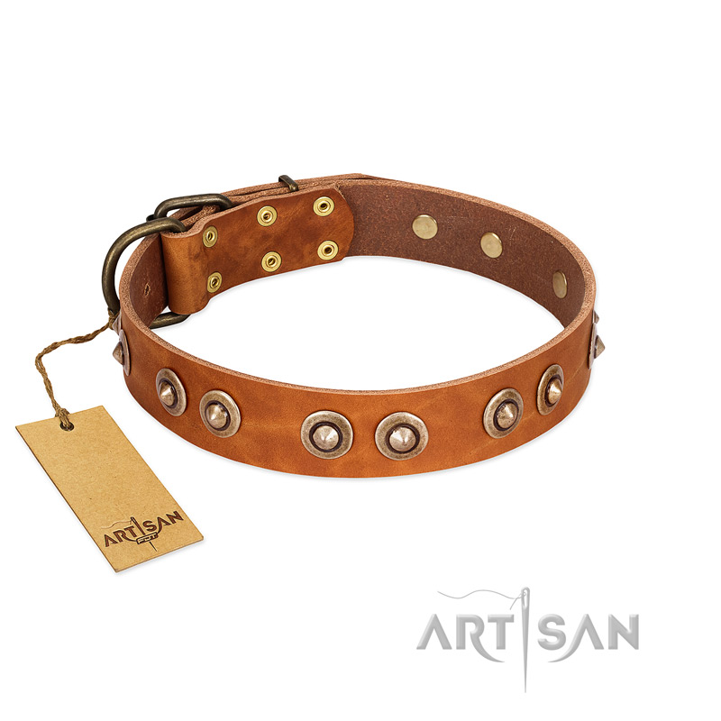 "Precious Relic" FDT Artisan Tan Leather Rottweiler Collar Adorned with Old Bronze Look Studs