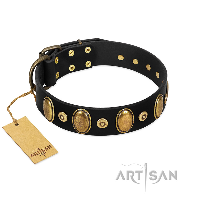"Venerable Pawty" FDT Artisan Black Leather Rottweiler Collar with Old Bronze-like Ovals and Studs