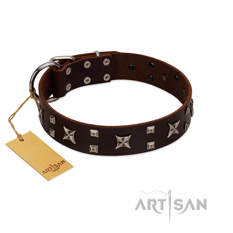 "Bigwig Woof" FDT Artisan Brown Leather Rottweiler Collar with Chrome Plated Stars and Square Studs