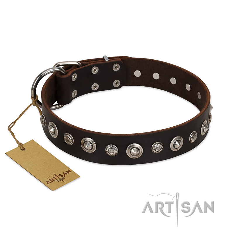 "Gorgeous Shields" FDT Artisan Brown Leather Rottweiler Collar with Old Silver-like Circles and Small Camomiles