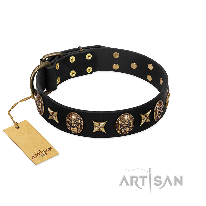 "Starry Saga" FDT Artisan Black Leather Rottweiler Collar with Stars and Skulls